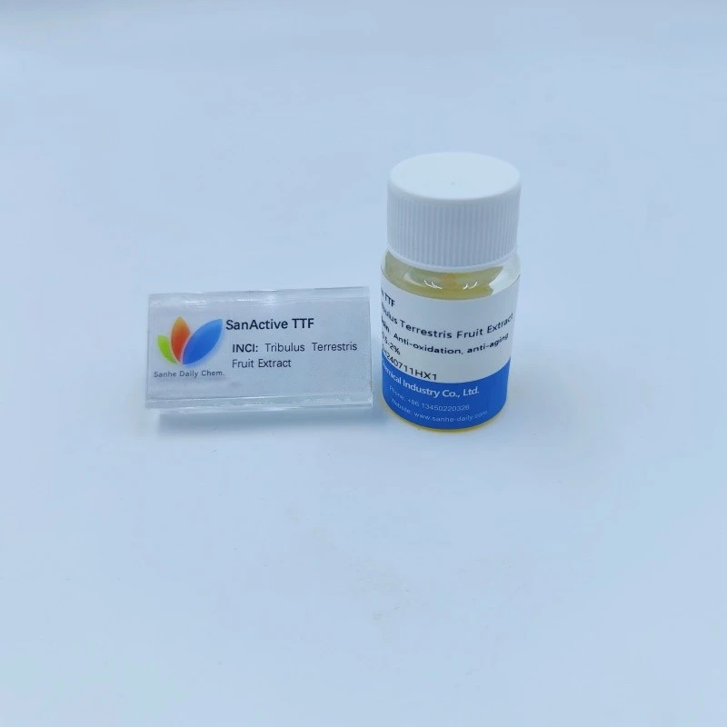 SanActive TTF (3)